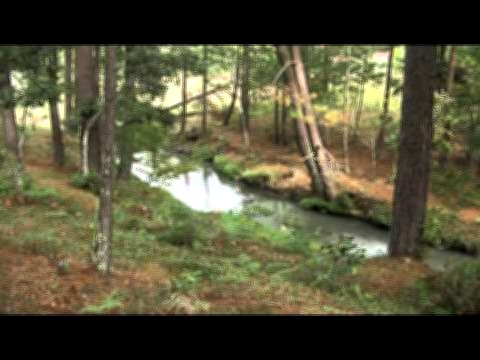 Vista interior de Terrenos en Venta Honduras, 2 Manzanas en Intibucá