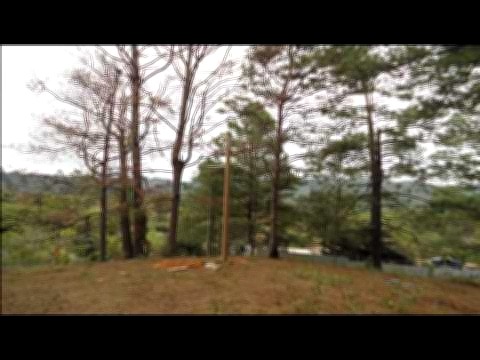 Vista interior de Venta de Lotes de Terreno de 1000 Varas Cuadradas En La Entrada de Valle de Angeles