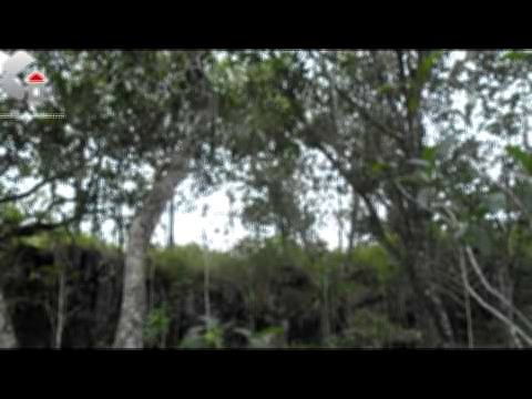 Vista interior de Venta de Terreno en San Miguelito, Intibuca