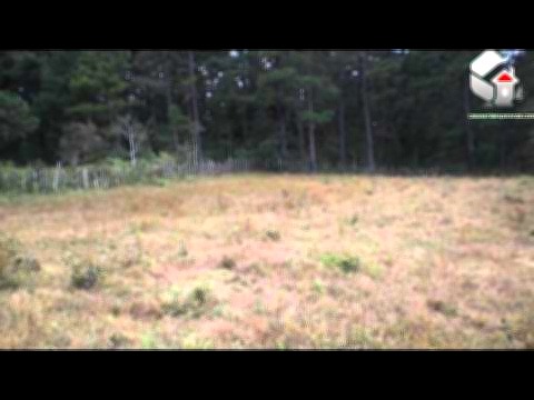 Imagen de propiedad - 028