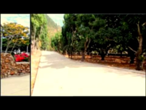 Vista interior de Venta de Lotes de Terreno En El Zamorano, a 25 Minutos de Tegucigalpa