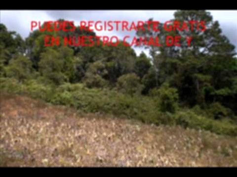 Vista interior de Venta de Terreno en Intibucá, Aldea de El Paishlal