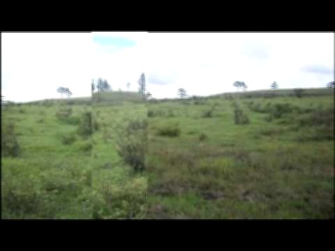 Vista interior de Ganga de Terreno en Venta en El Zamorano, Tegucigalpa Honduras