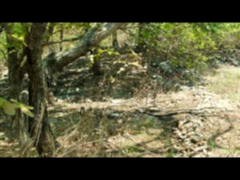 Imagen de propiedad - 01