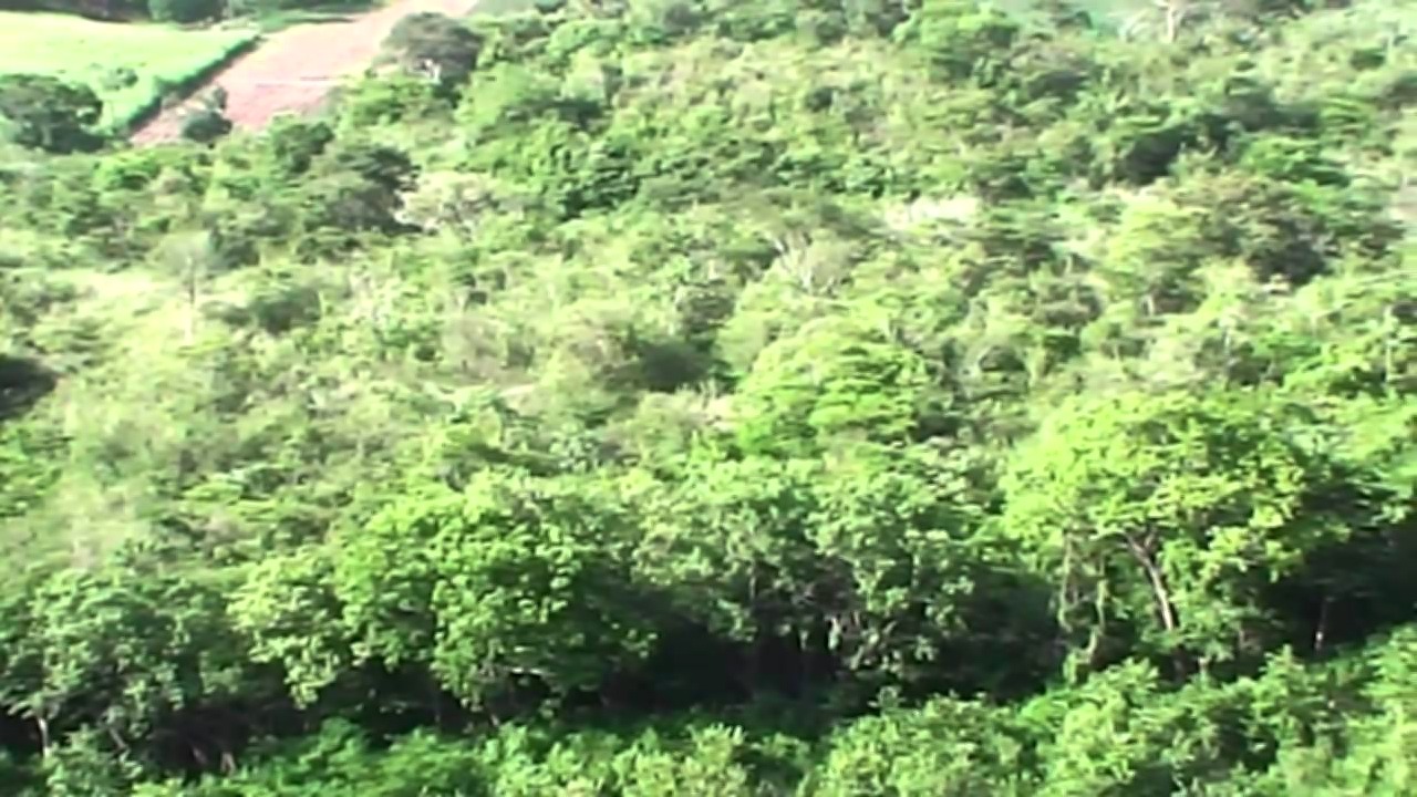 Vista interior de Venta de Terreno Plano en Comayagua de 15 Manzanas, Aldea de Cacahuapa