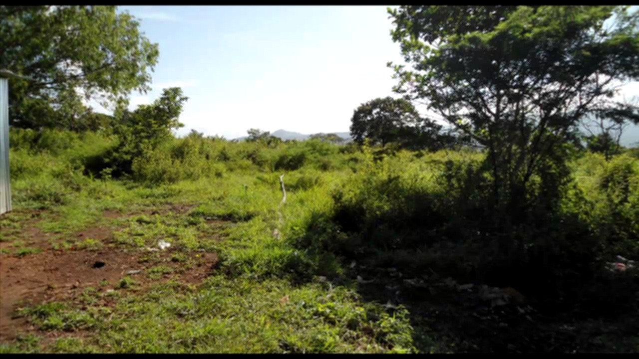 Vista interior de Venta de Lotes Planos en el Zamorano