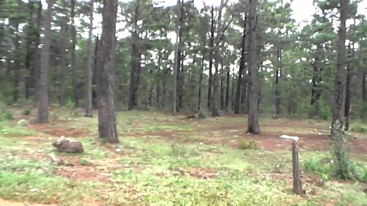 Vista interior de Hermosa Propiedad de 30 Manzanas en venta en Yamaranguila, Intibuca