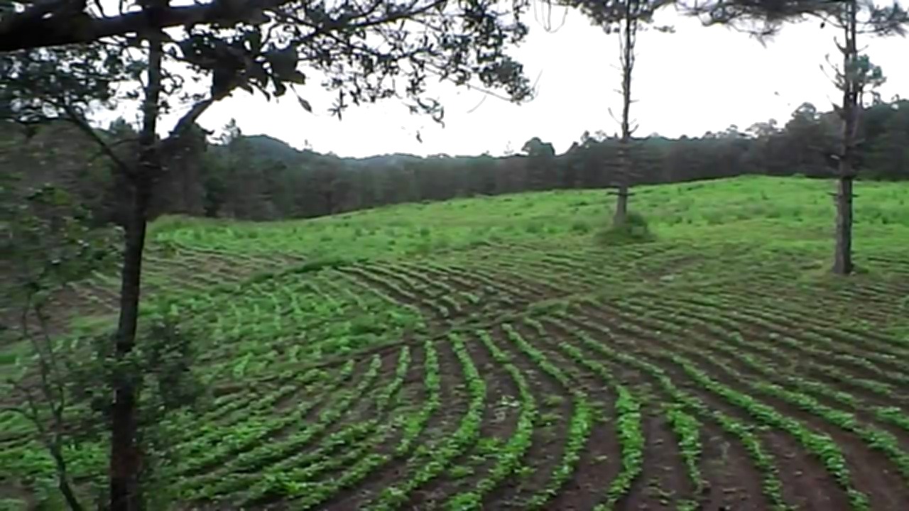 Baño completo de Venta de Terreno Urbano en Yamaranguila, Intibuca de 21 manzanas