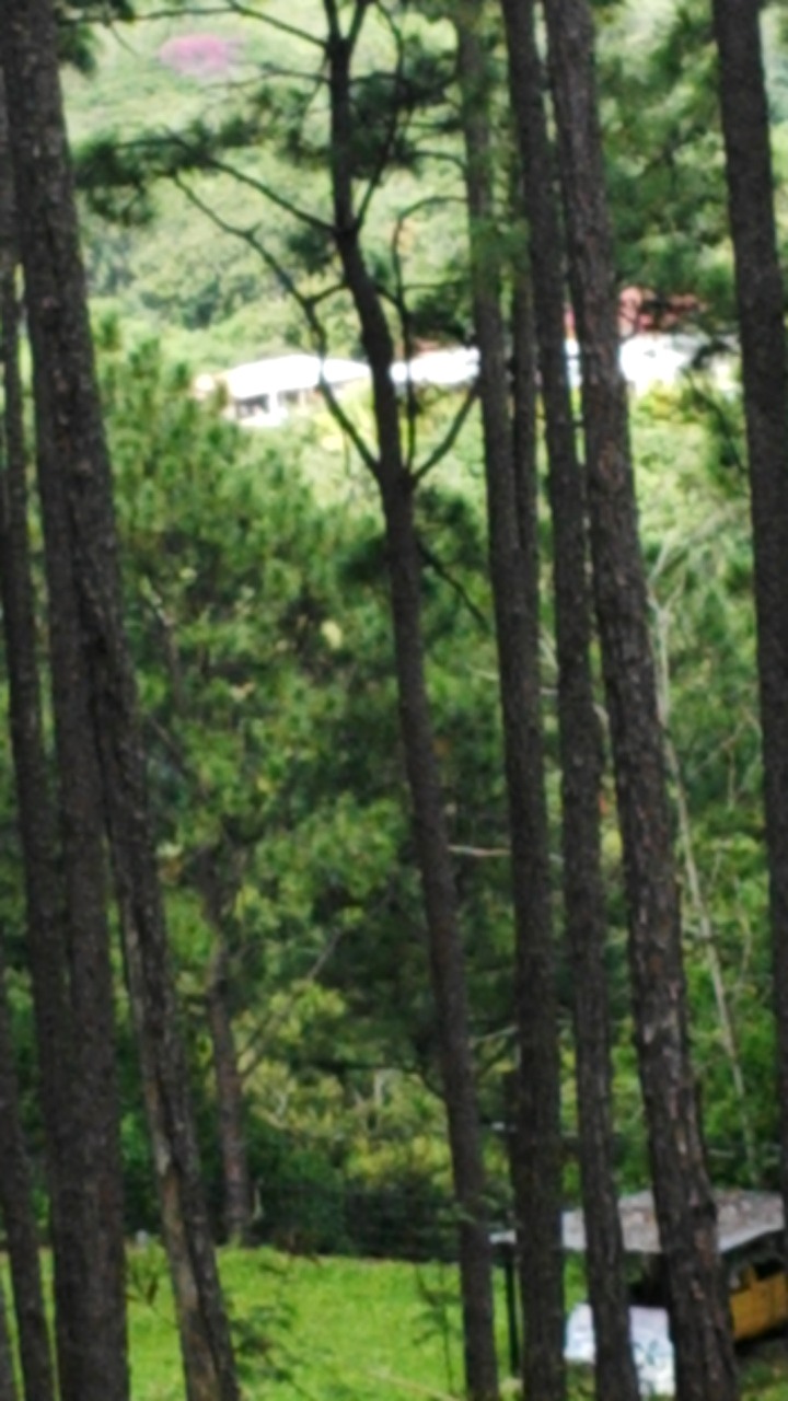 Vista interior de Venta de Terreno de 2 Manzanas en el Zamorano, Las Mesas