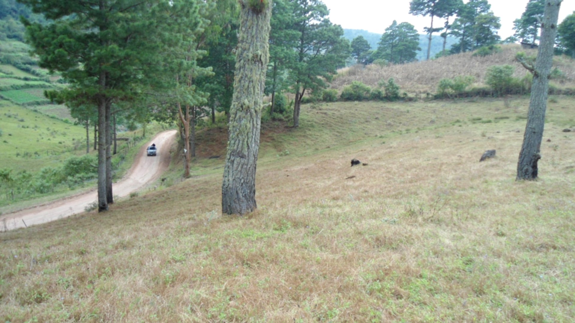 Vista interior de Venta de Bonito Terreno en Tatumbla Francisco Morazan de 2.5 Manzanas