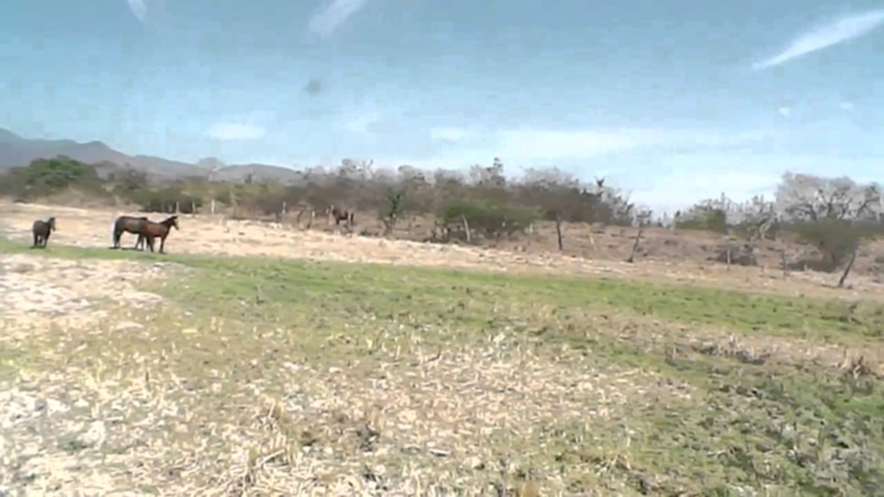 Vista interior de Venta de Hermoso Terreno en el Valle de Jesús de Otoro Intibuca