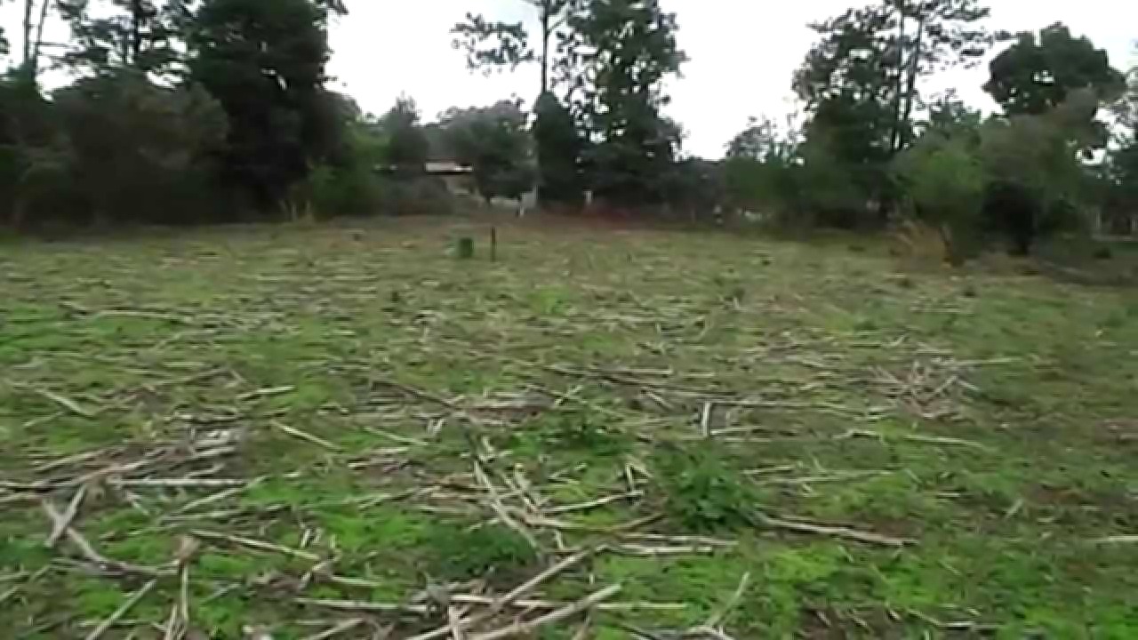 Vista interior de Venta de Hermoso Terreno Totalmente Plano en Yamaranguila, Intibuca