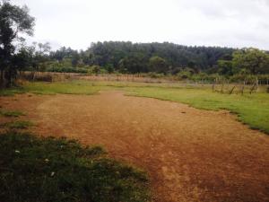 Venta de Solares en La Esperanza Intibuca