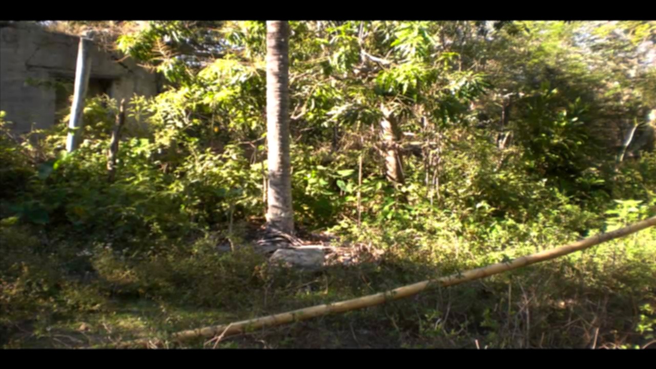 Vista interior de Venta de Terreno de 78 Manzanas en Jesus de Otoro, Intibuca