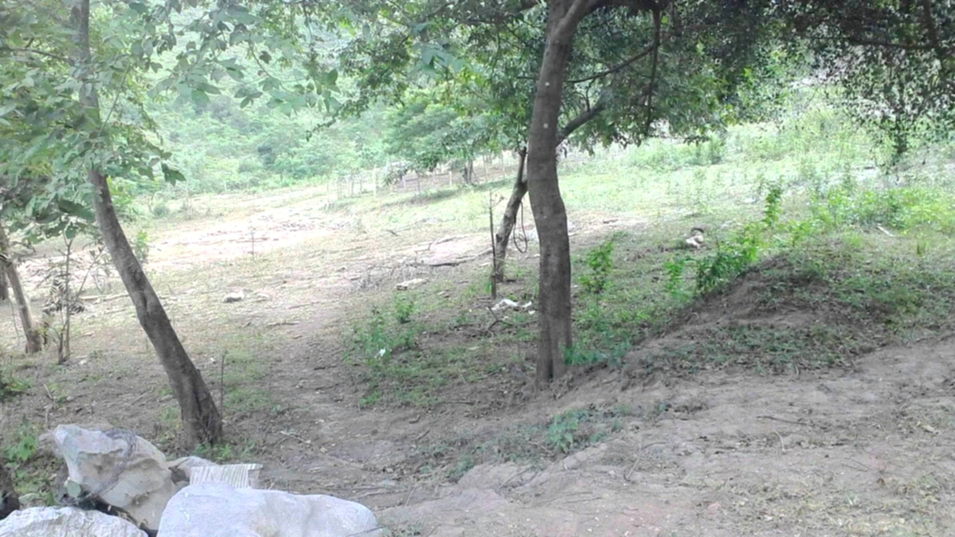 Vista interior de Venta de Hermoso Terreno en Comayagua de 240 Manzanas