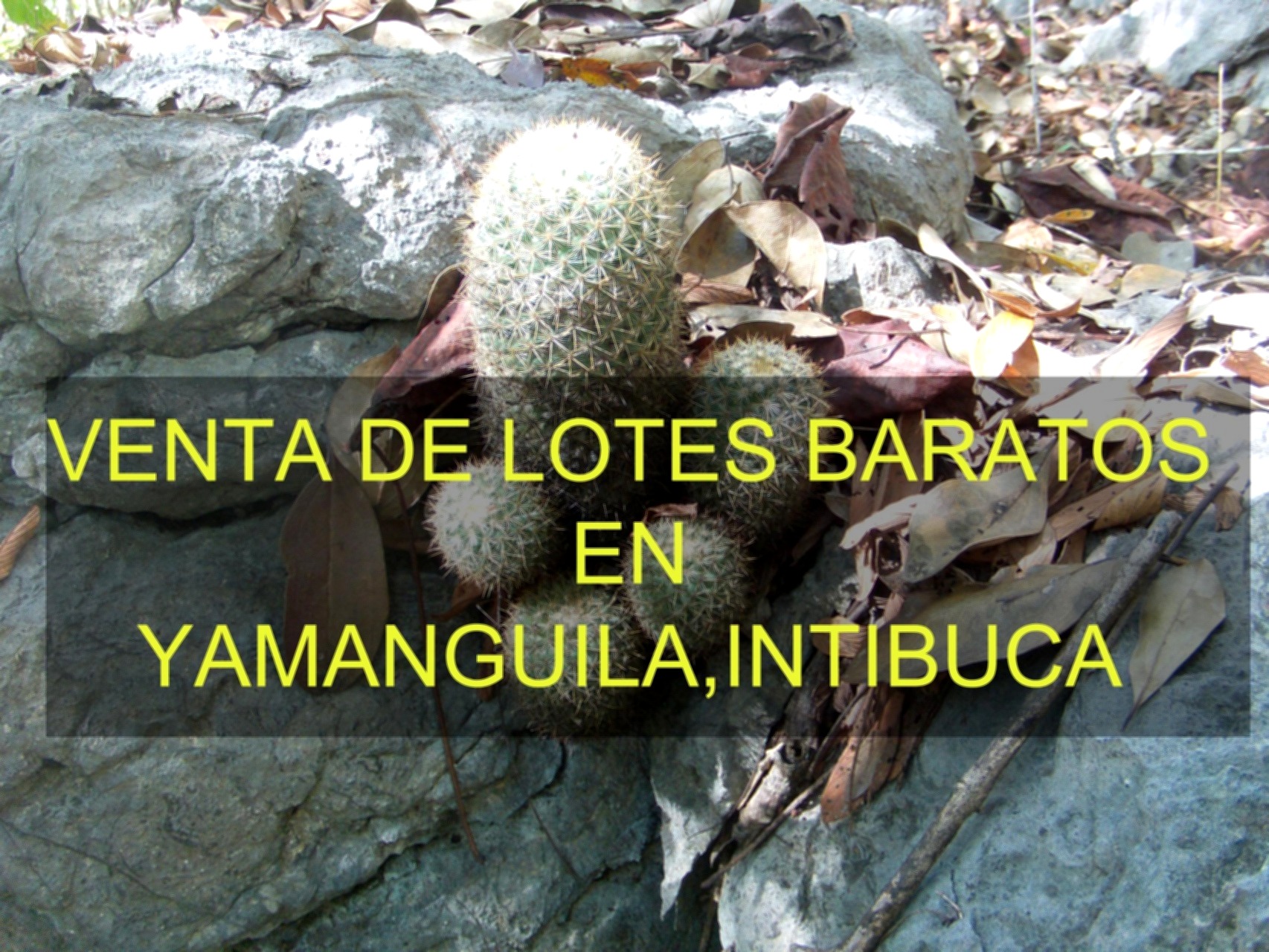 Vista interior de Venta de Lotes Planos en Yamaranguila Intibucá con Fácil Financiamiento