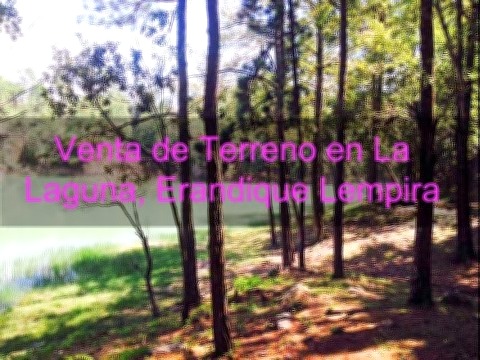 Vista interior de Venta de Hermoso Terreno en Honduras, Aldea La Laguna De Erandique Lempira.