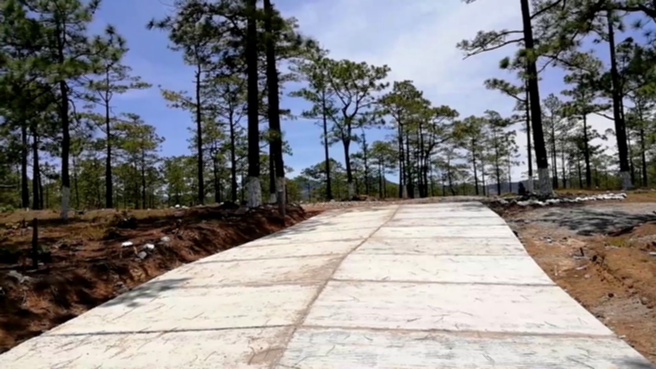 Vista interior de ﻿VENTA DE TERRENOS EN YAMARANGUILA INTIBUCA, ALDEA EL OBISPO