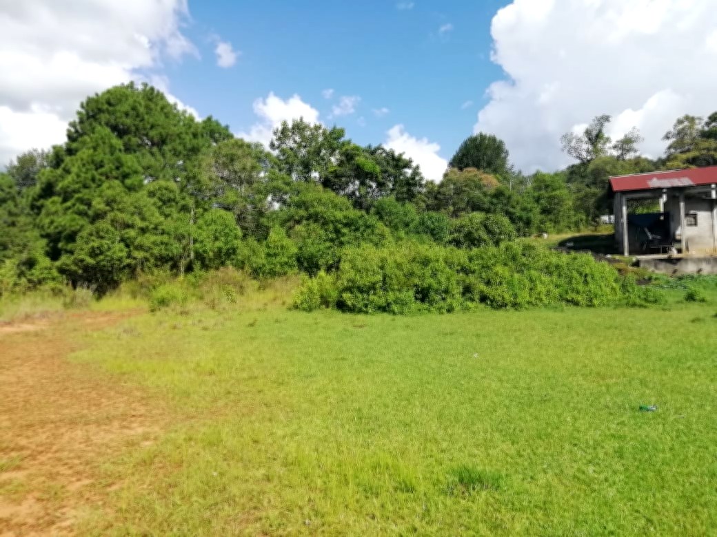 venta de terrenos en Siguatepeque Comayagua 20202 Venta de Casas en