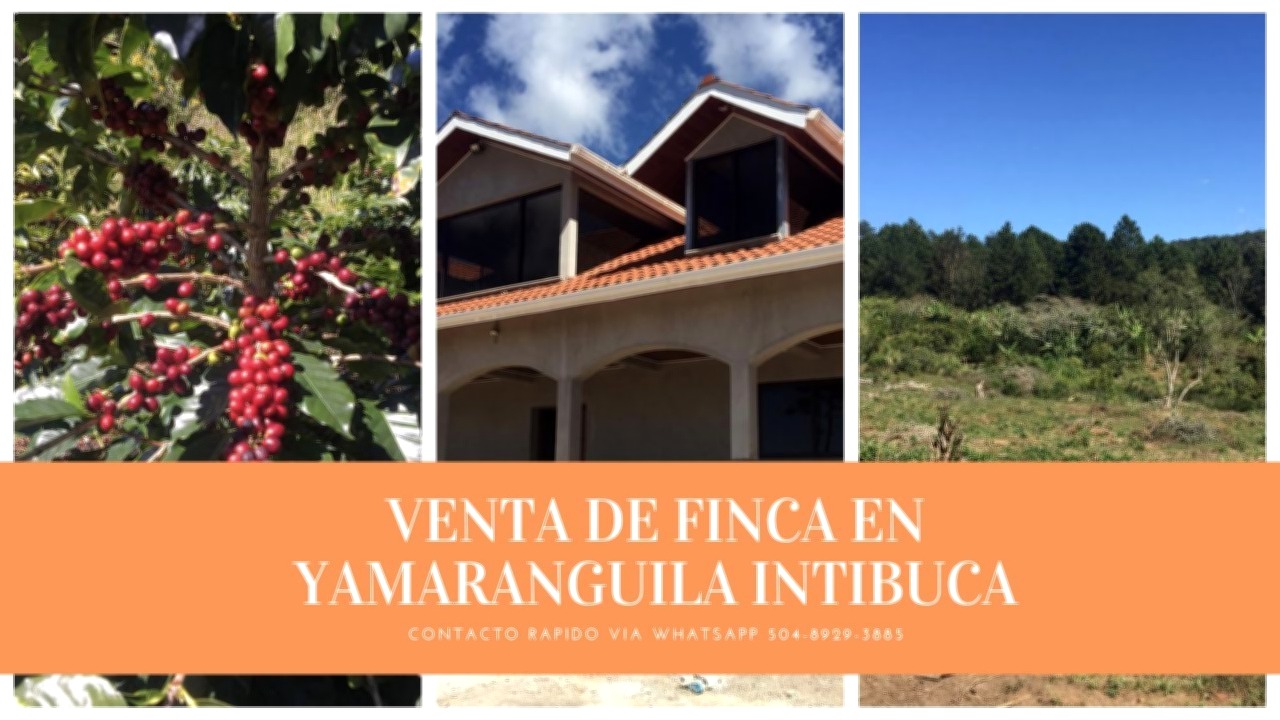 Vista interior de Venta de Finca en Yamaranguila Intibuca Honduras