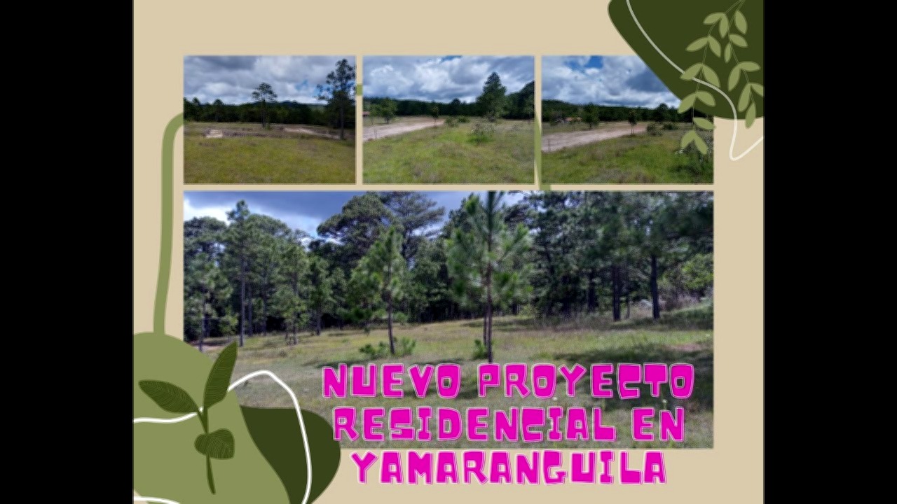 Vista interior de VENTA DE LOTES EN YAMARANGUILA, INTIBUCA, RESIDENCIAL CAMINOS DE YAPAMPUKE.