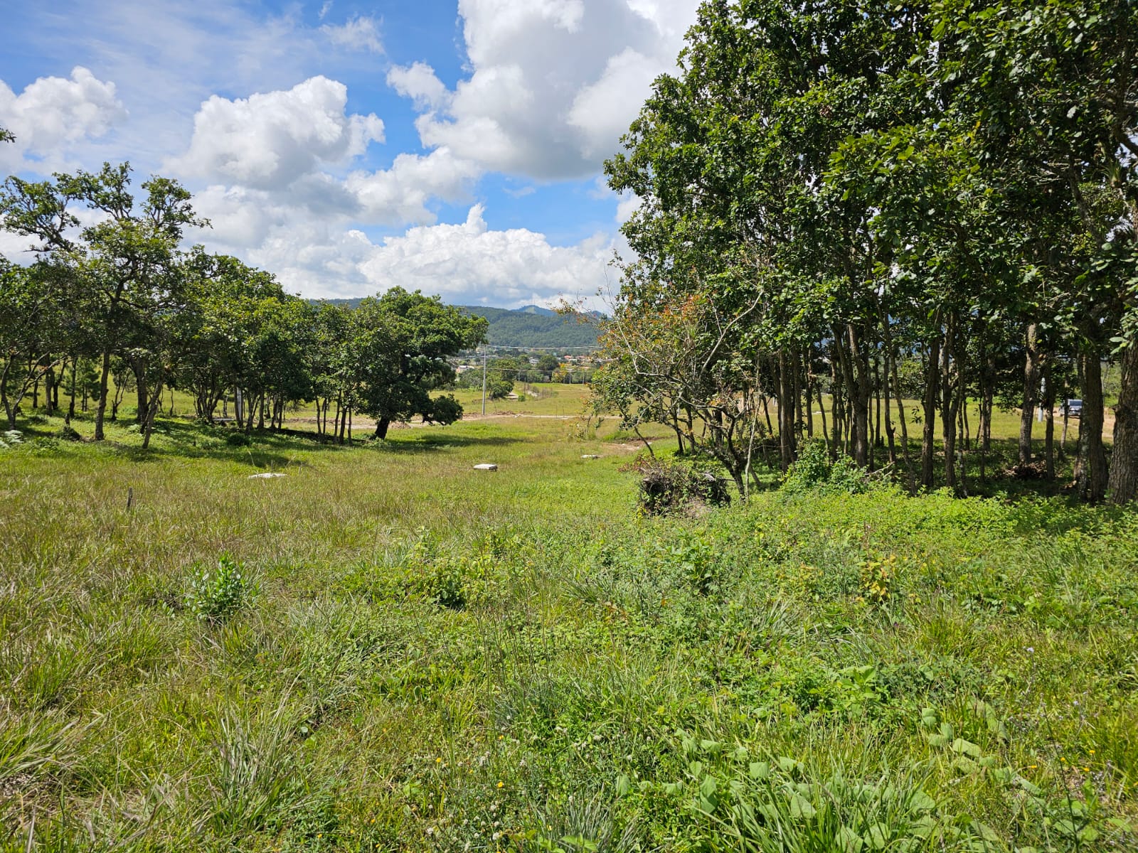 RESIDENCIAL LOS ARRAYANES EN LA ESPERANZA INTIBUCÁ, VENTA DE LOTES